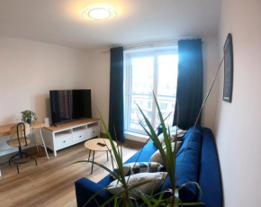 Designer 1 Bedroom Flat with Terrace Dublin 1